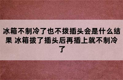 冰箱不制冷了也不拨插头会是什么结果 冰箱拔了插头后再插上就不制冷了